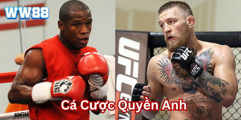 Cá Cược Quyền Anh là gì? 