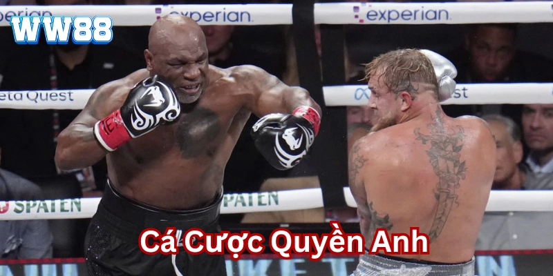Mẹo hay chơi Cá Cược Quyền Anh