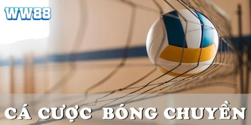 Tổng quan về cá cược bóng chuyền thú vị tại nhà cái
