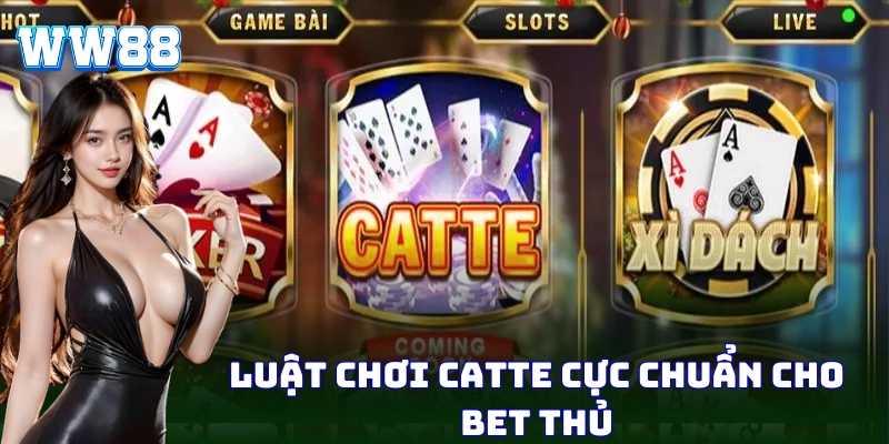 Catte – Chiến Lược Chơi Bài Cực Chuẩn Từ Cao Thủ WW88 Quy tắc giúp bet thủ hiểu rõ trò chơi Catte